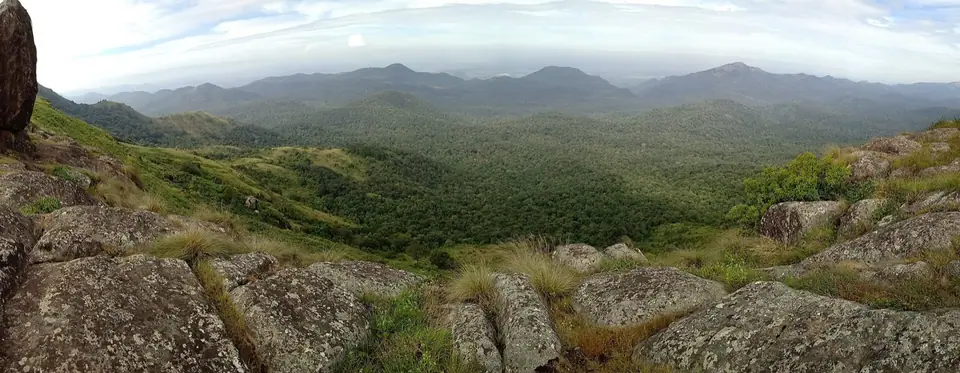 BR Hills, wildlife near Bengaluru