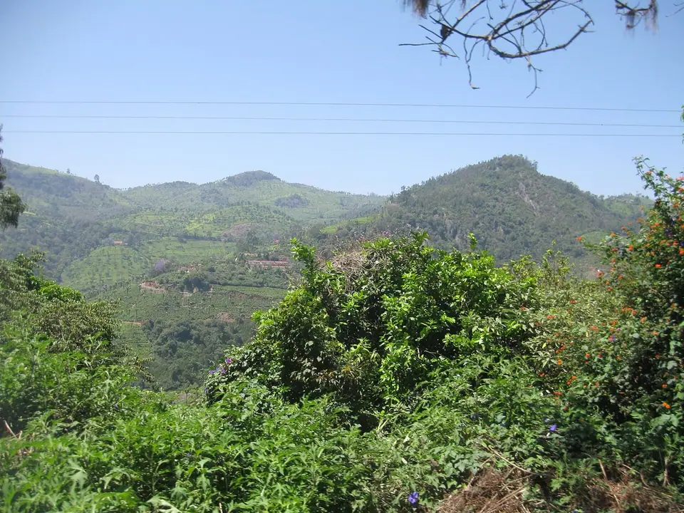 Coonoor, hill station near Bengaluru