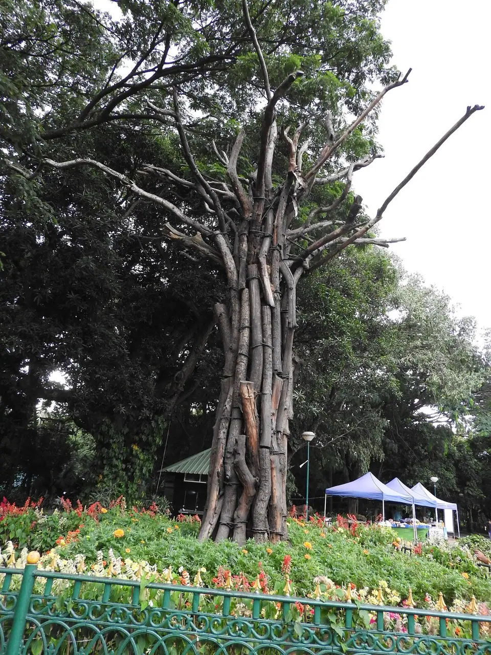 Cubbon Park, city parks near Bengaluru