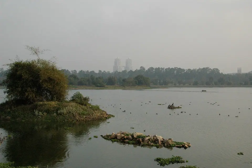 Hebbal Lake, lakes near Bengaluru