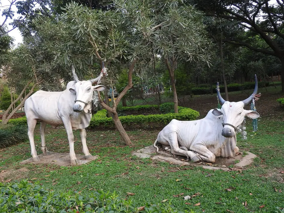 Jayaprakash Narayan Biodiversity Park, city parks near Bengaluru