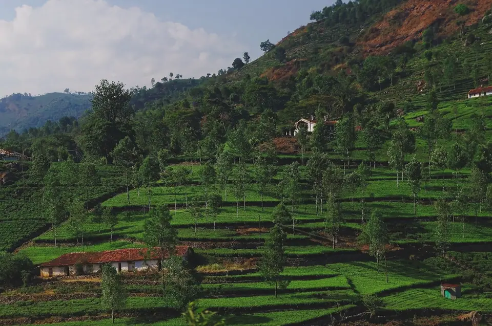 Kotagiri, hill station near Bengaluru