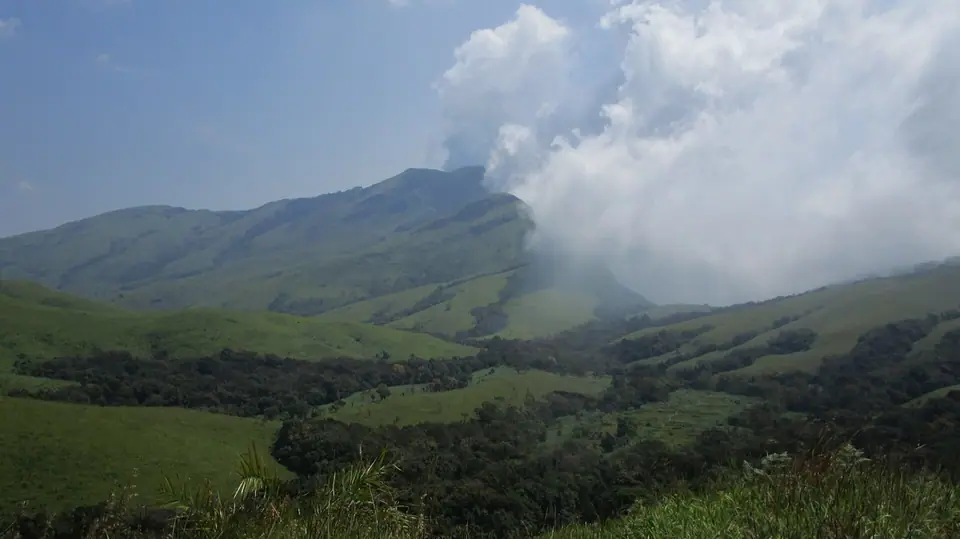 Kudremukh Wildlife Sanctuary, wildlife near Bengaluru